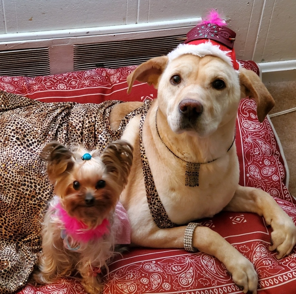 Meet your Posher, Claire